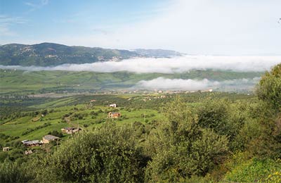 Ferry to Algeria - Compare Prices & Ferry Times Now