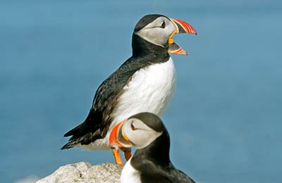 Find your special offer here