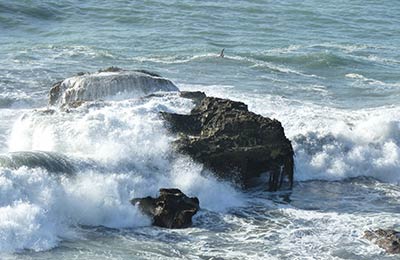 Find the cheapest prices and deals